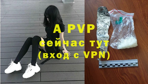 скорость Белокуриха