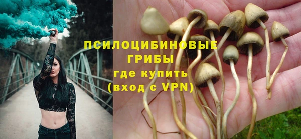 гашик Беломорск